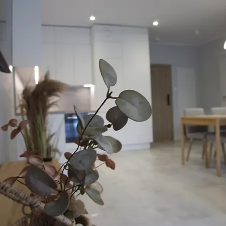 Balticlux - Greeneri Park アパート *